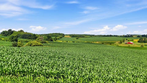 Vacant Land For Sale - XXX 300th Street<br/> Saint Croix County, Glenwood City, WI 54013