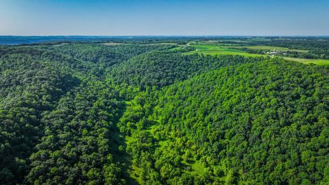 Vacant Land For Sale - XXX East Twin Ridge Road<br/> Houston, MN 55943