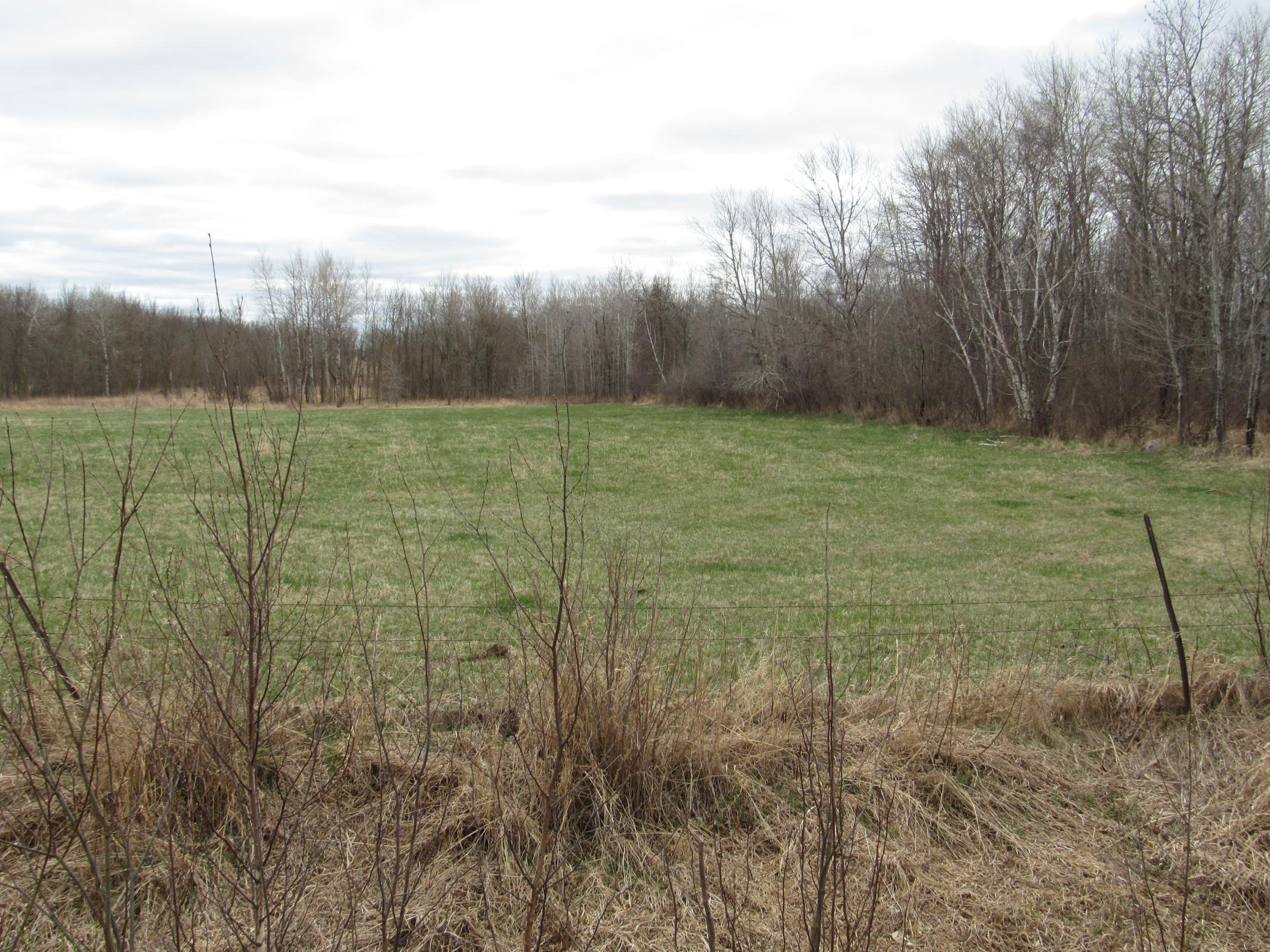 TBD 28th Avenue, Pine River, Minnesota image 2