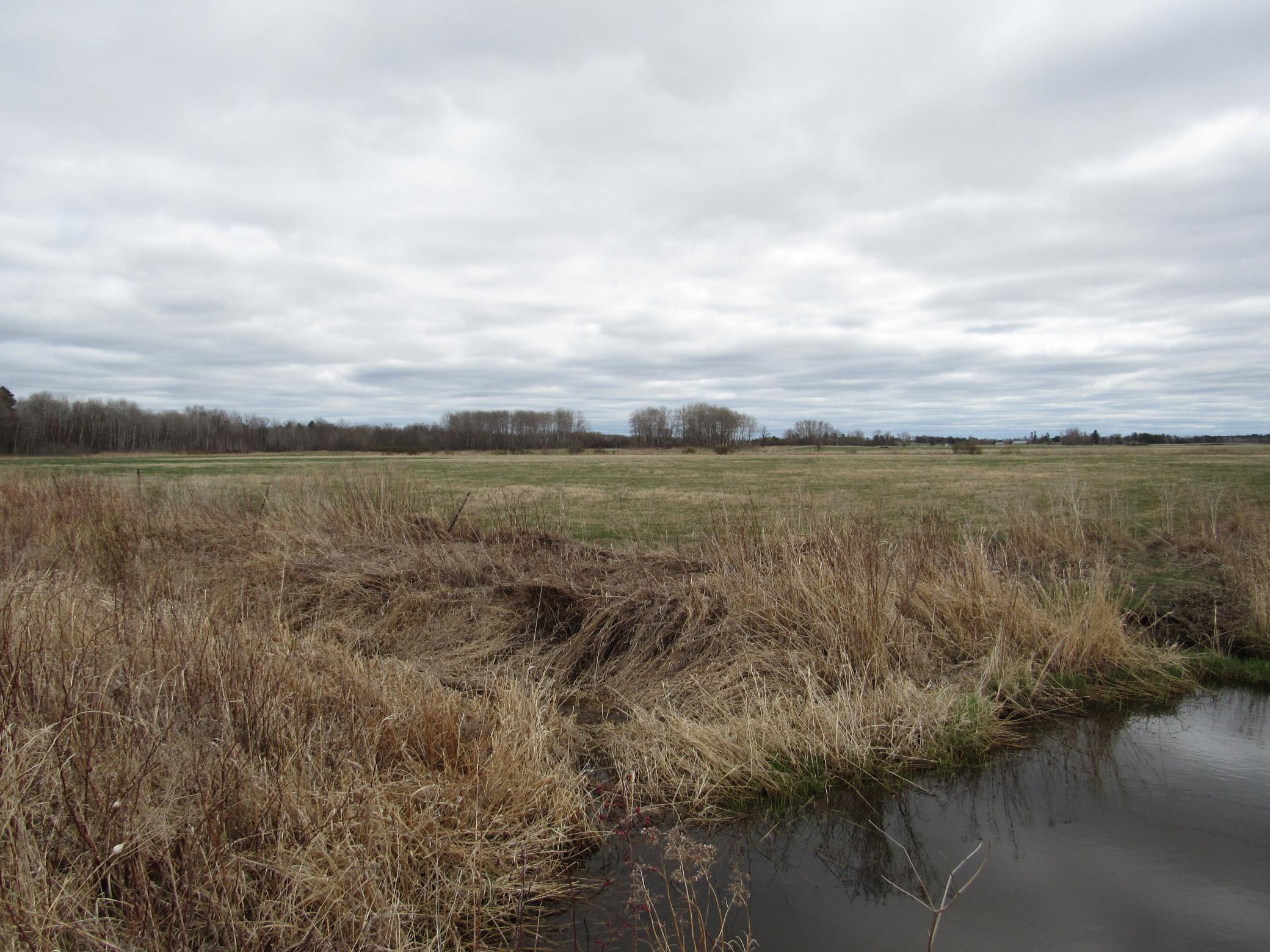 TBD 28th Avenue, Pine River, Minnesota image 8
