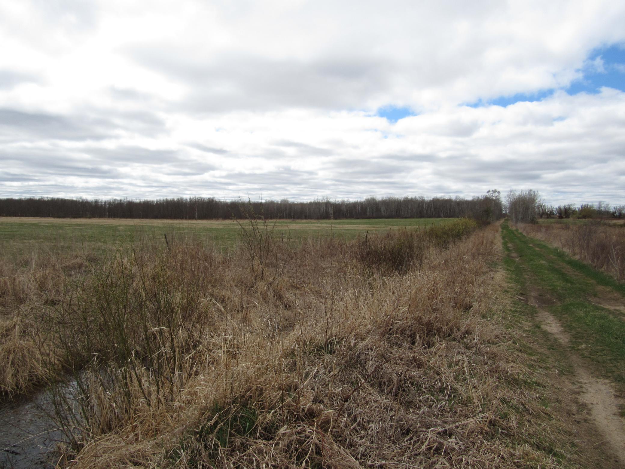 TBD 28th Avenue, Pine River, Minnesota image 7