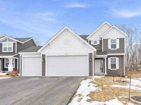 Homes For Sale - 200 Franklin Avenue<br/> Delano, MN 55328