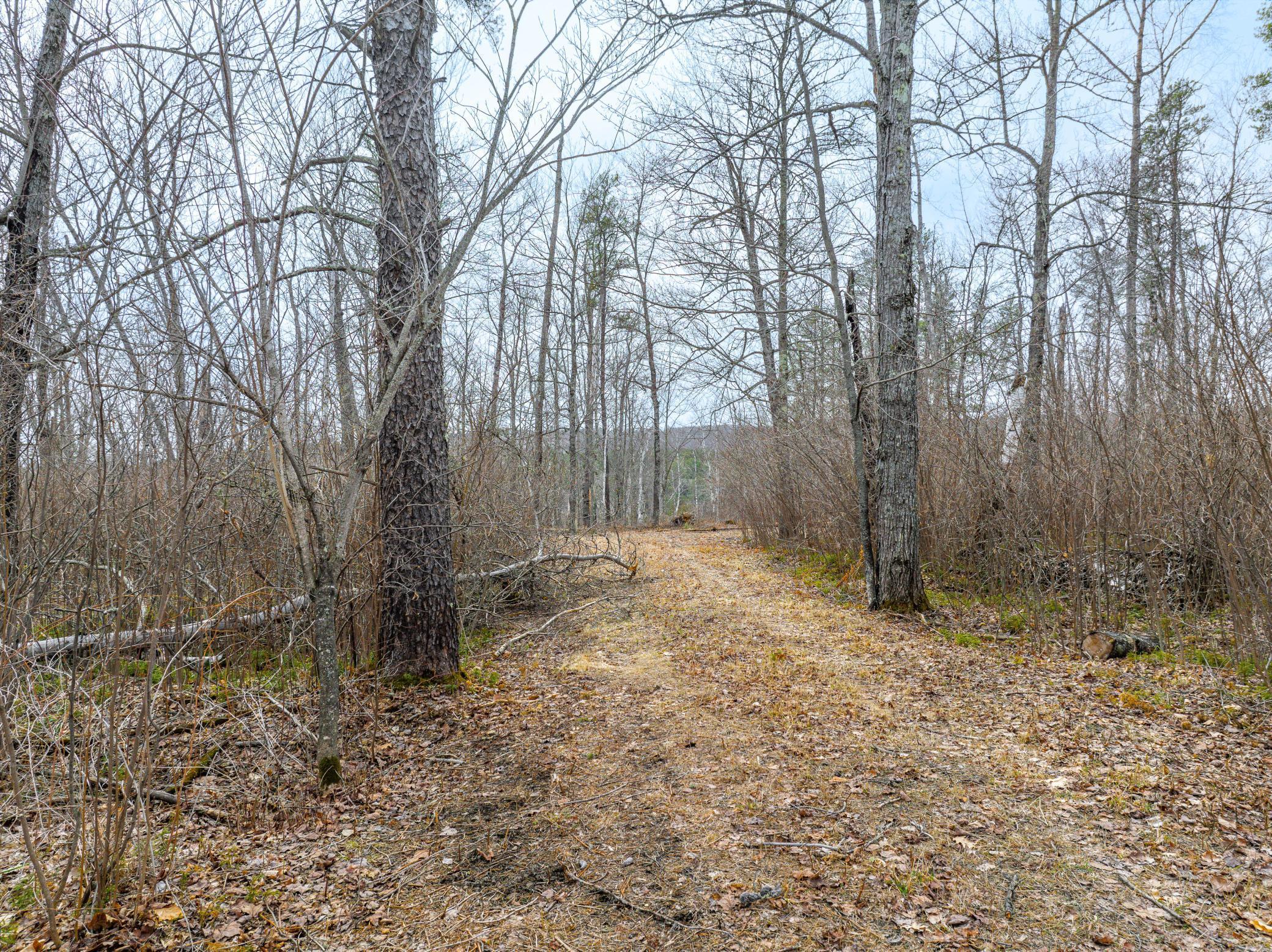 6177 Voyageurs Trail, Biwabik, Minnesota image 4