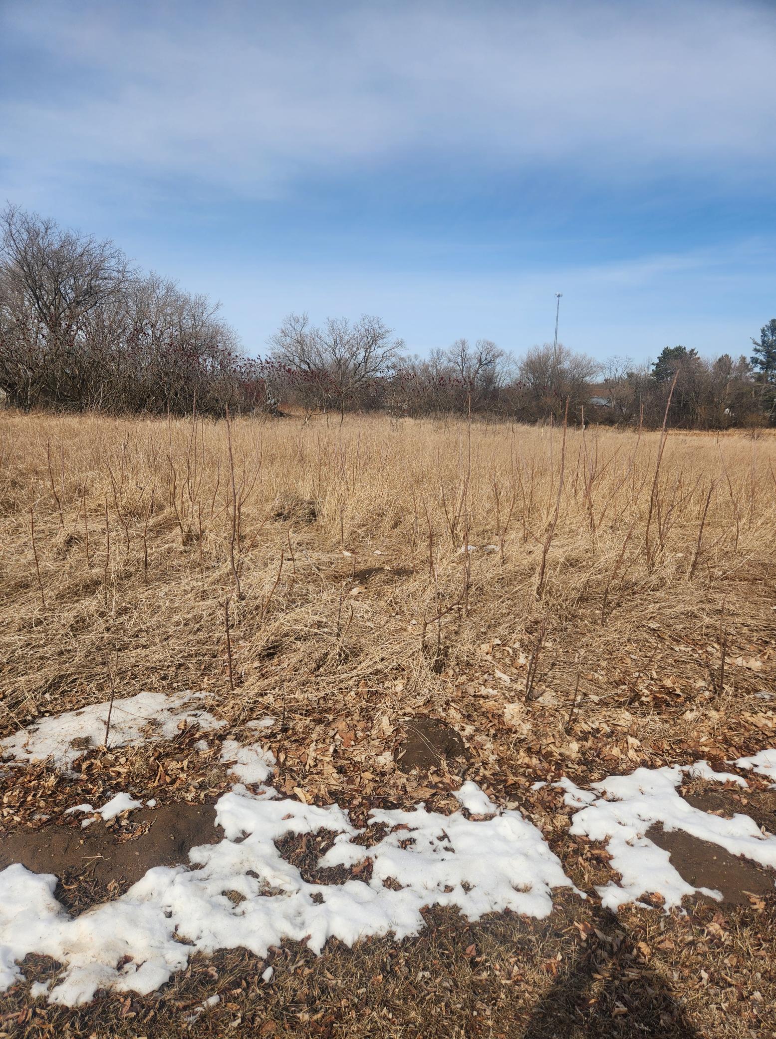 Lot 72 Hood Street, Dallas, Wisconsin image 2