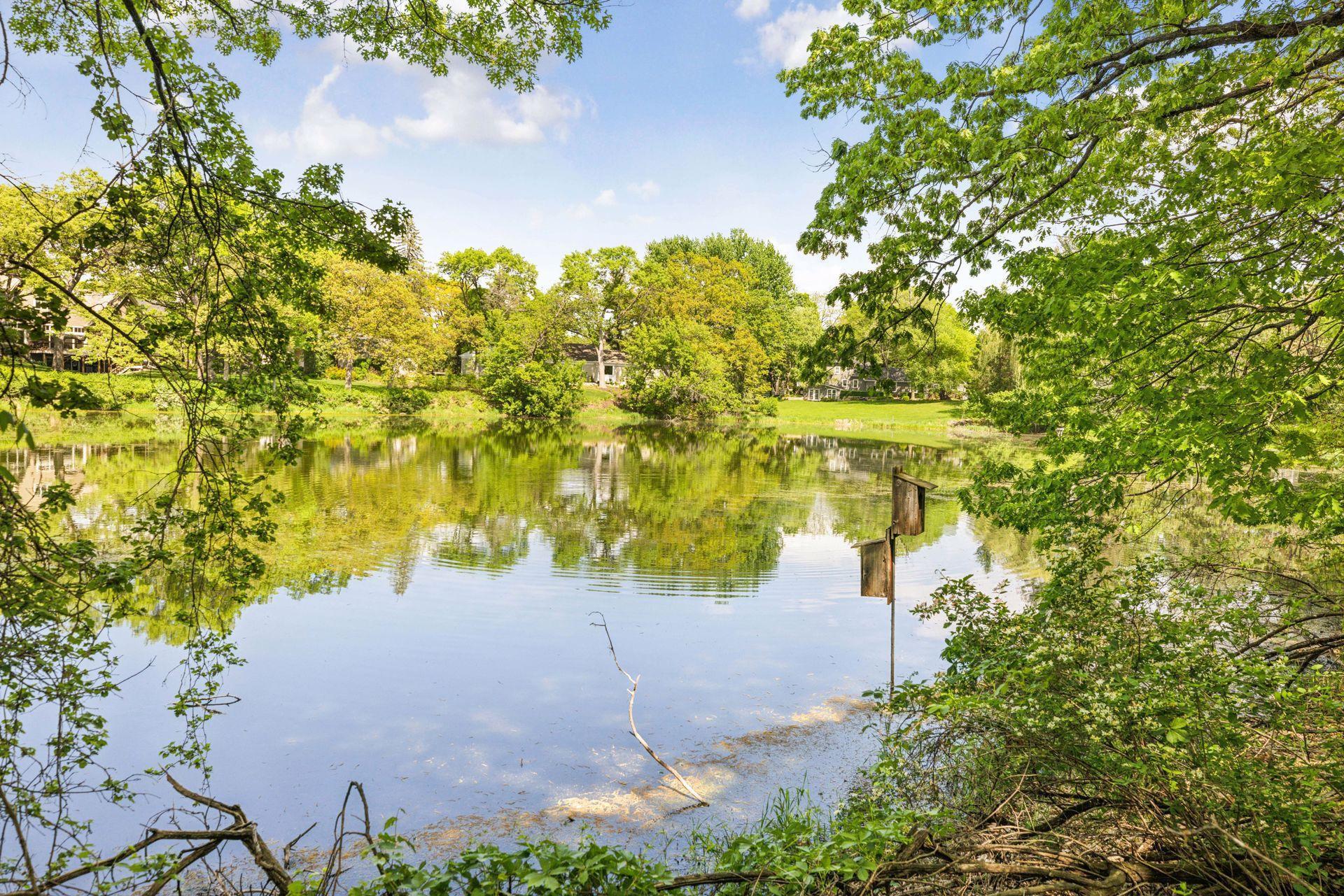 5125 Schaefer Road, Edina, Minnesota image 12