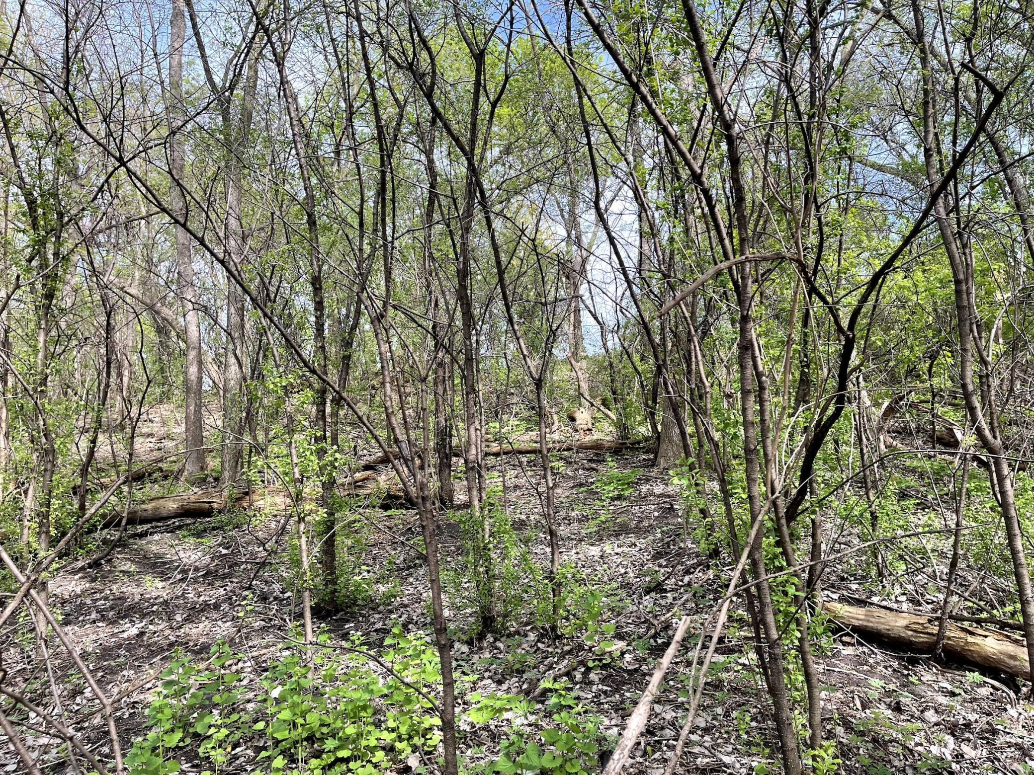 XXXX Woodhill Road, Burnsville, Minnesota image 11