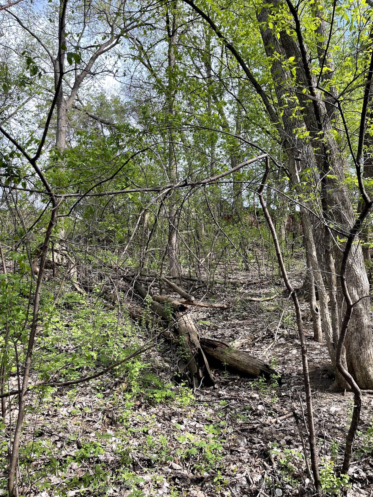 XXXX Woodhill Road, Burnsville, Minnesota image 25