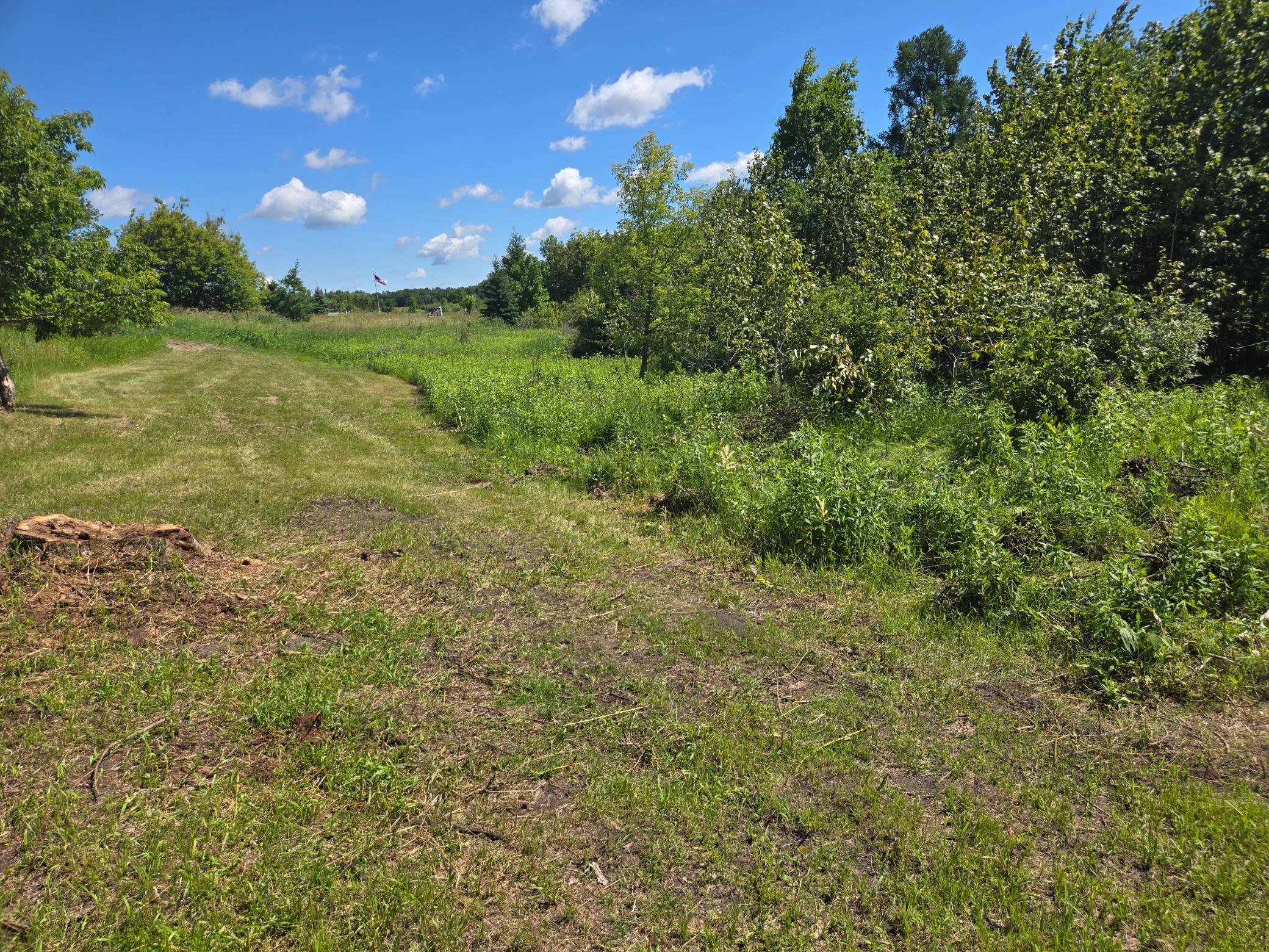 18919 395th Avenue, Frazee, Minnesota image 15