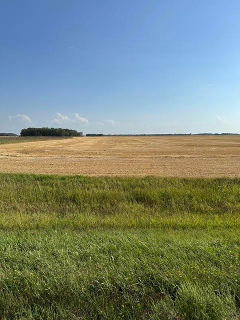 Vacant Land For Sale - TBD 140th St.<br/> Pennington County, Thief River Falls, MN 56701