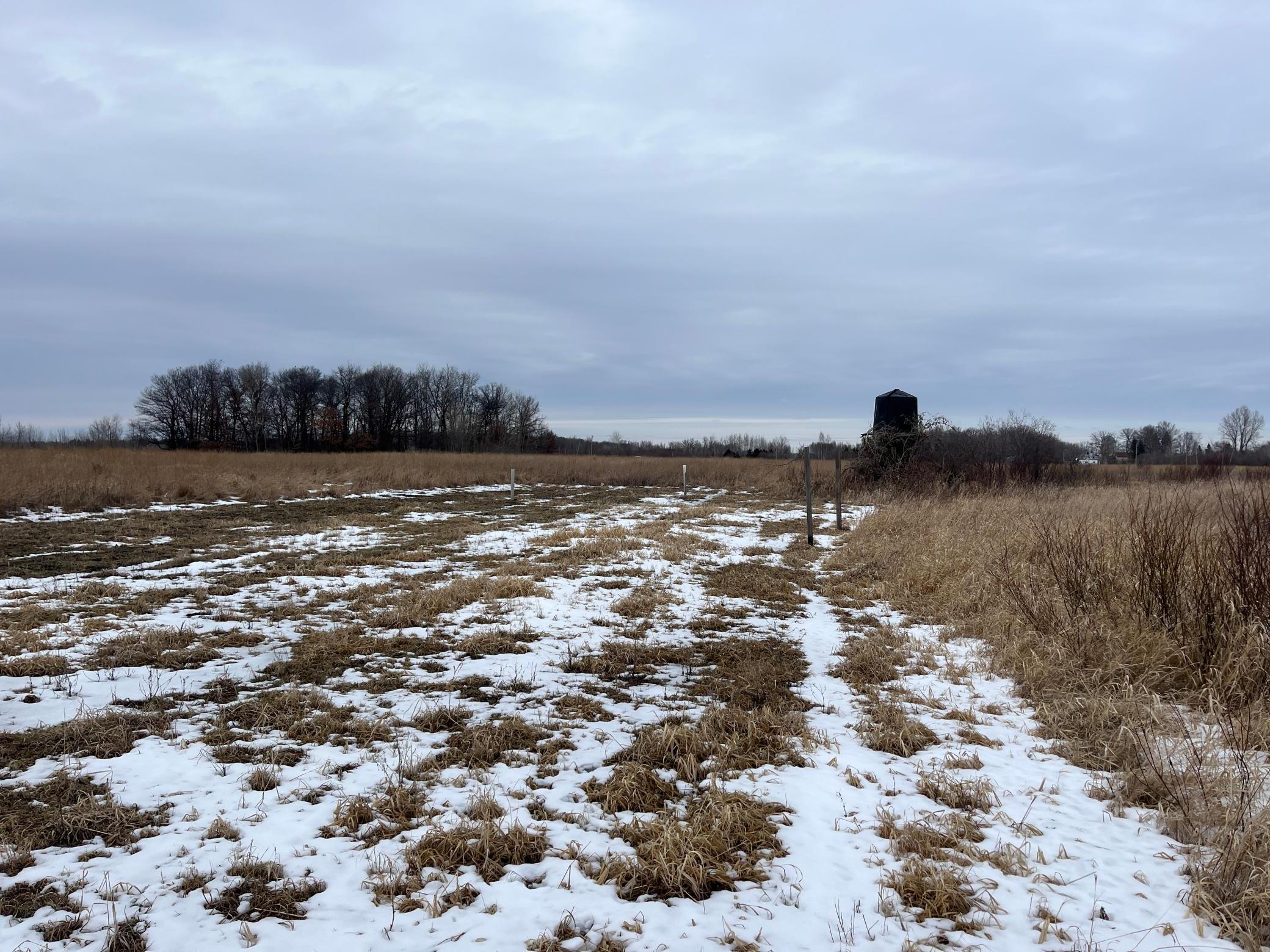 XXX County Road 22, Eagle Bend, Minnesota image 50