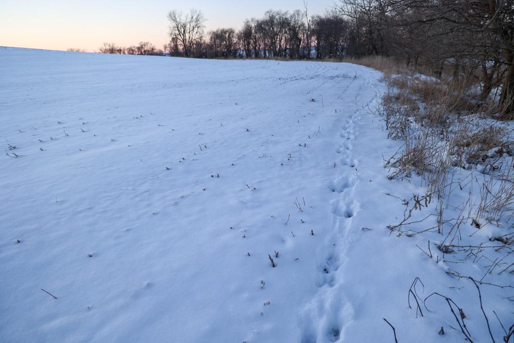 000 Richland Rd, Massena, Iowa image 9
