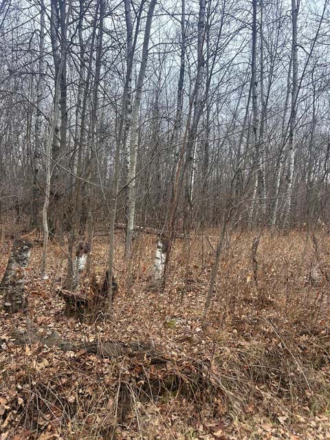 Vacant Land For Sale - TBDXXXX Golf Course Dr<br/> Cushing, MN 56443
