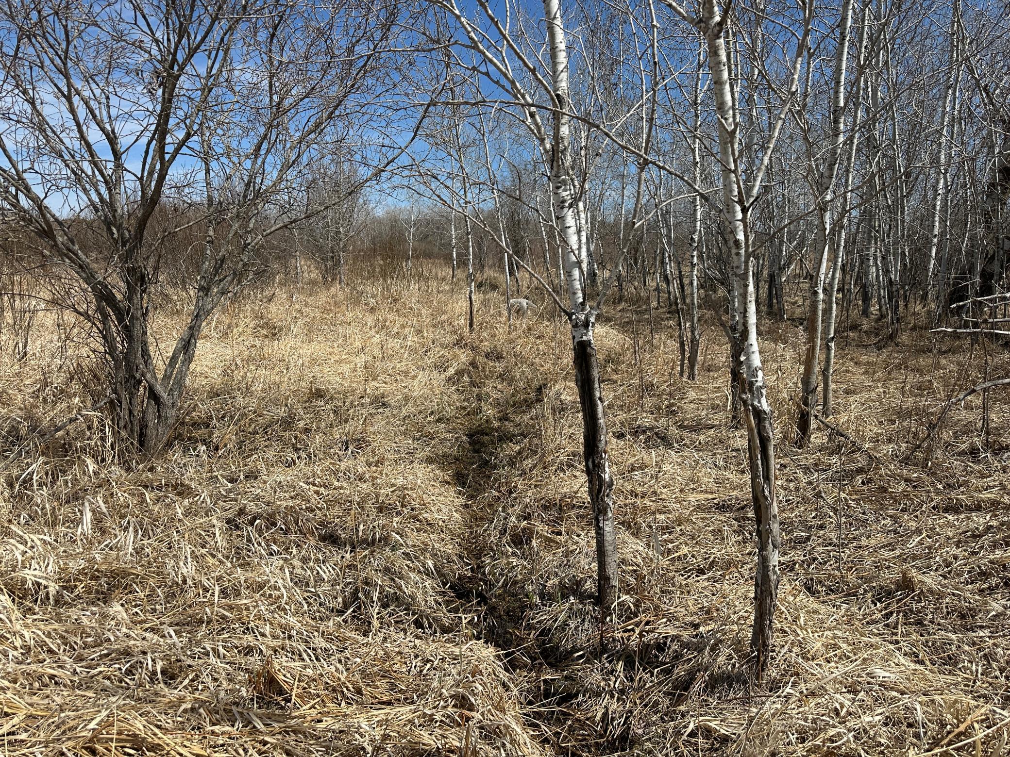 TBD County Rd 140, Deer Creek, Minnesota image 20