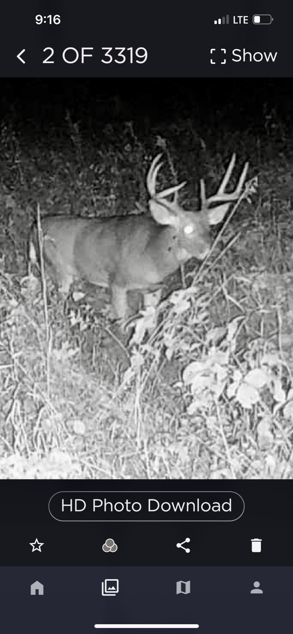 235 Highway 65, Star Prairie, Wisconsin image 44