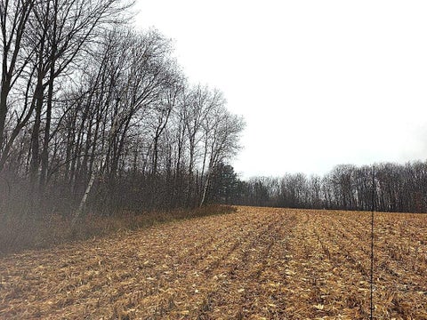 Vacant Land For Sale - 1141 12th Ave. Ave<br/> Barron, WI 54812