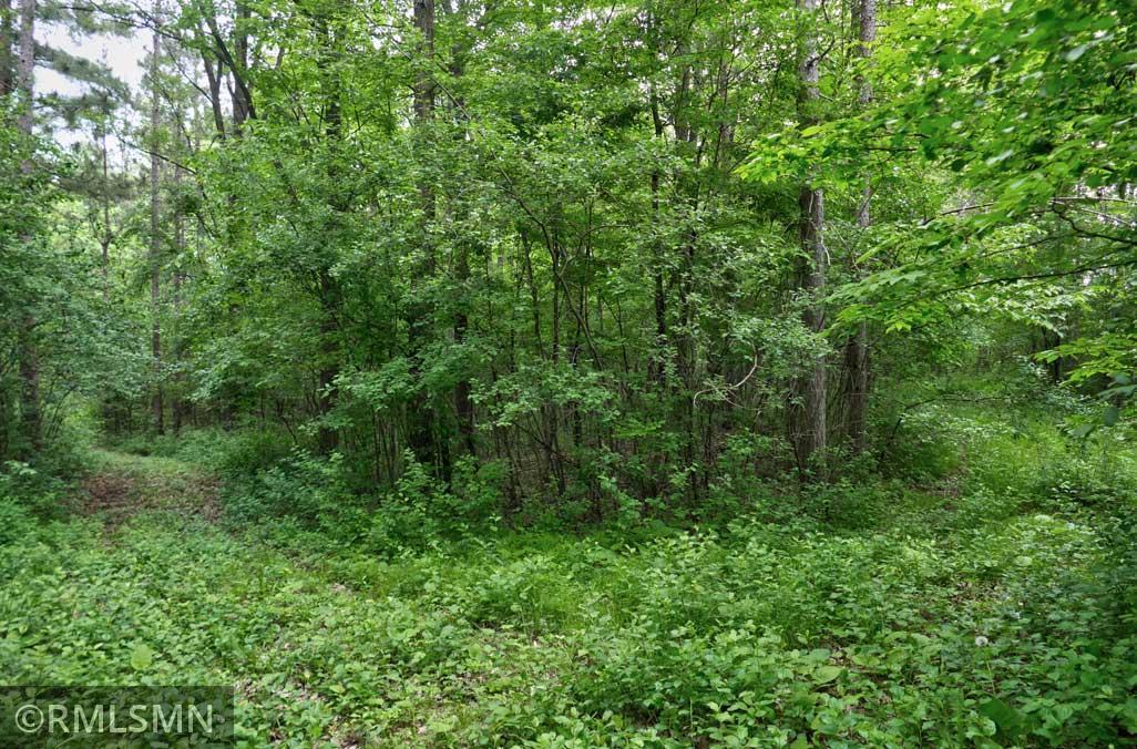 65X 115th Street, Amery, Wisconsin image 2