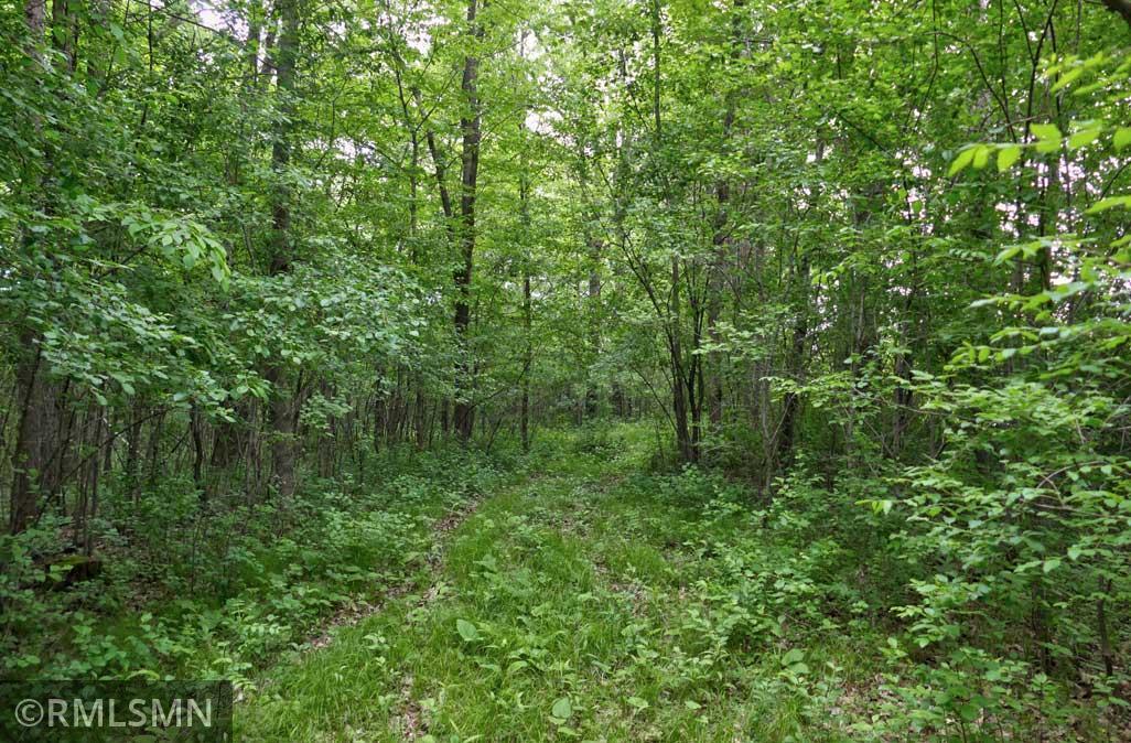 65X 115th Street, Amery, Wisconsin image 3