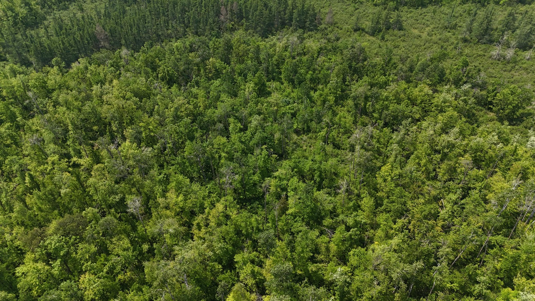 TBD Speckled Trout Road, Sandstone, Minnesota image 29