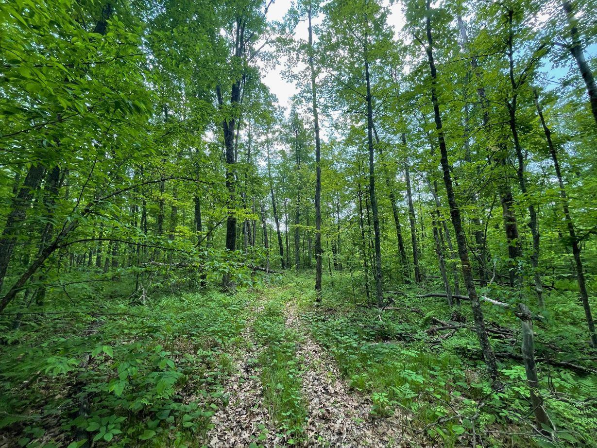 TBD Speckled Trout Road, Sandstone, Minnesota image 38