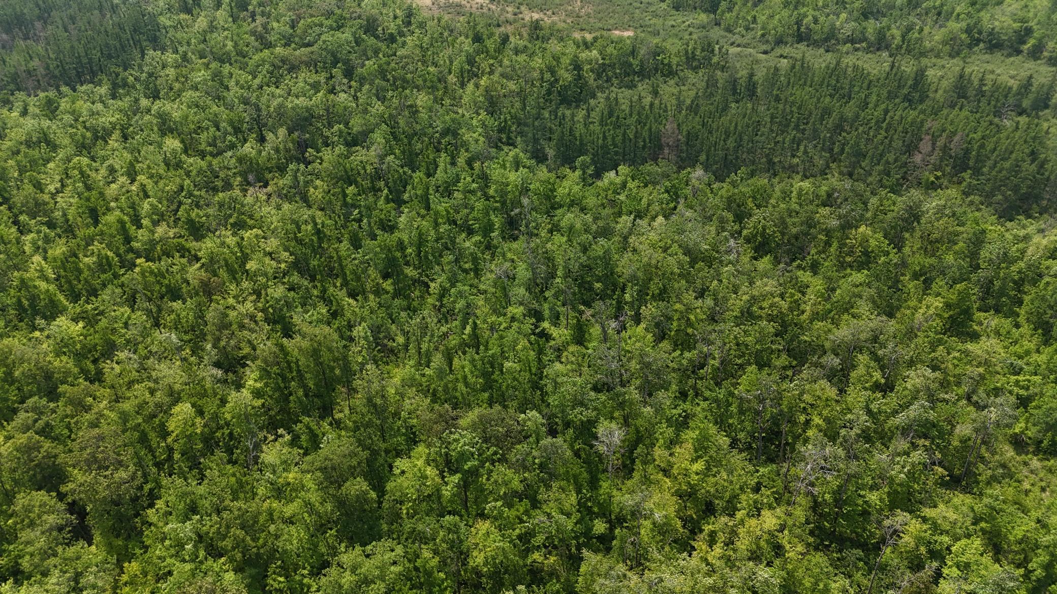 TBD Speckled Trout Road, Sandstone, Minnesota image 28
