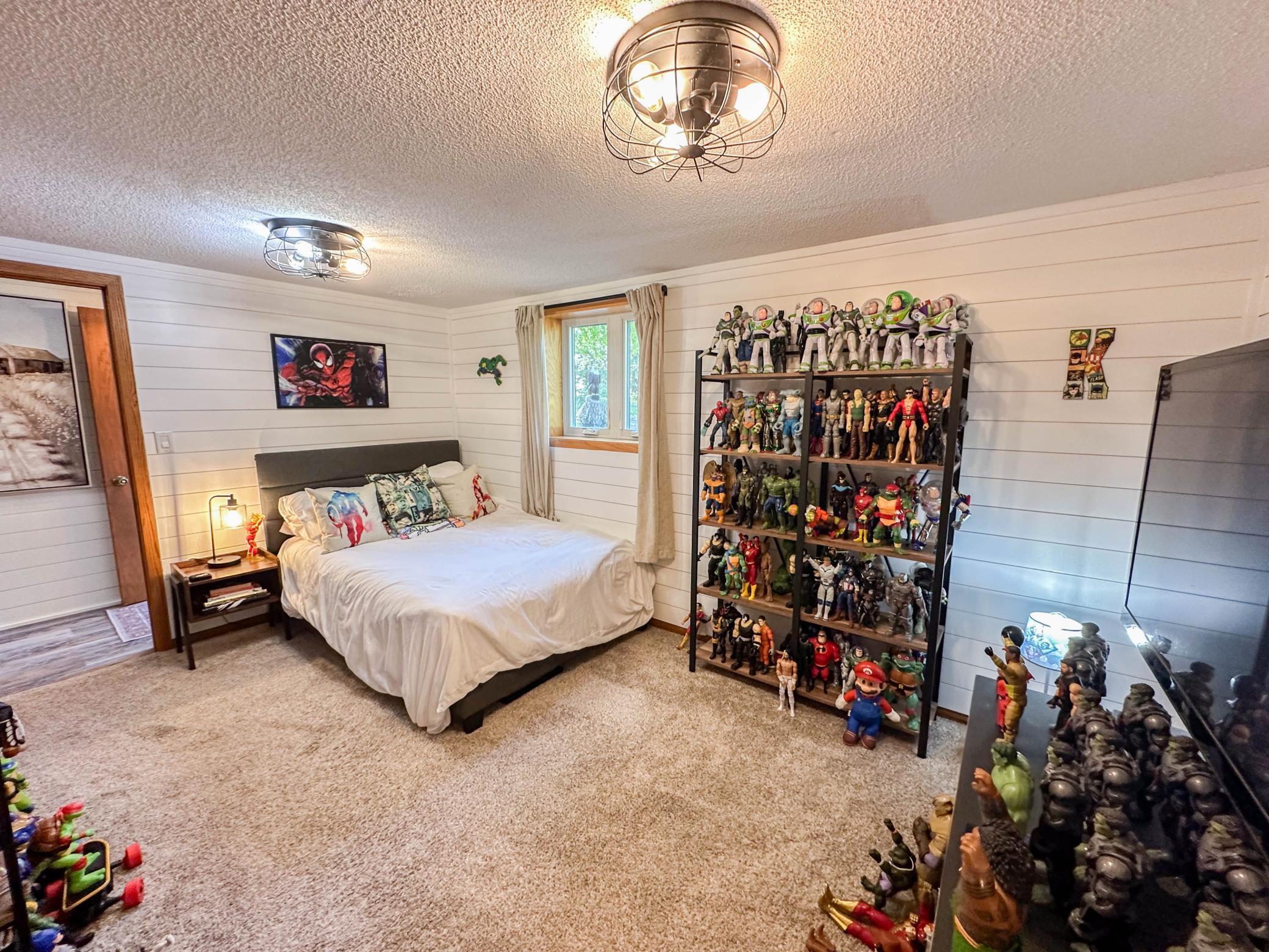 45596 730th Avenue, Hector, Minnesota image 33