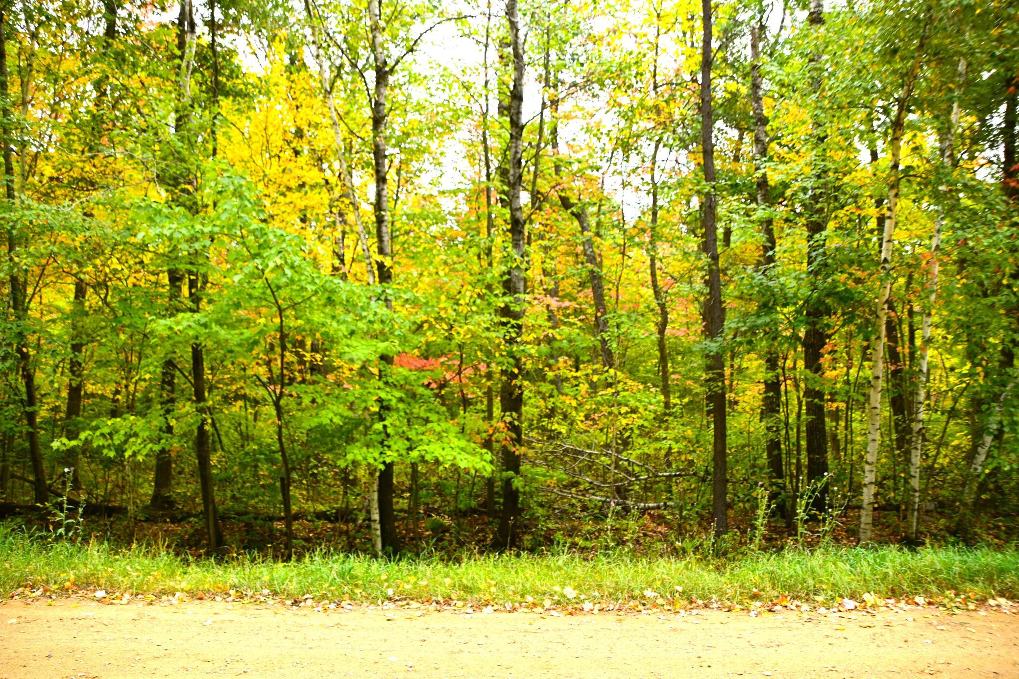 Lot 27 Blo Ode Circle, Browerville, Minnesota image 1