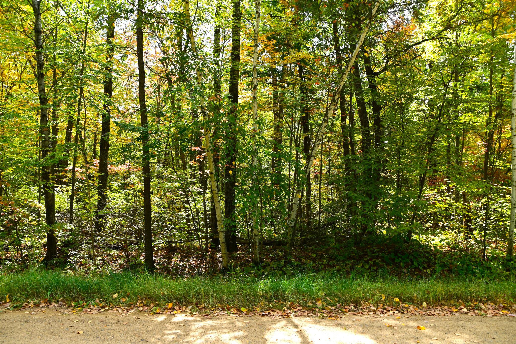 Lot 27 Blo Ode Circle, Browerville, Minnesota image 4