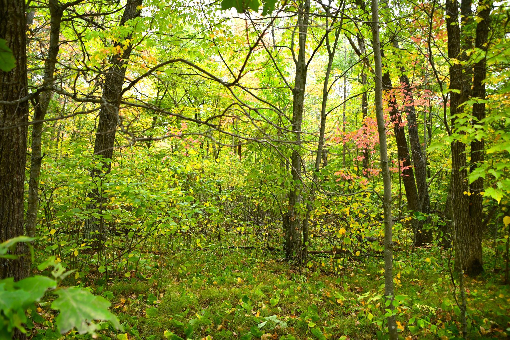 Lot 27 Blo Ode Circle, Browerville, Minnesota image 8