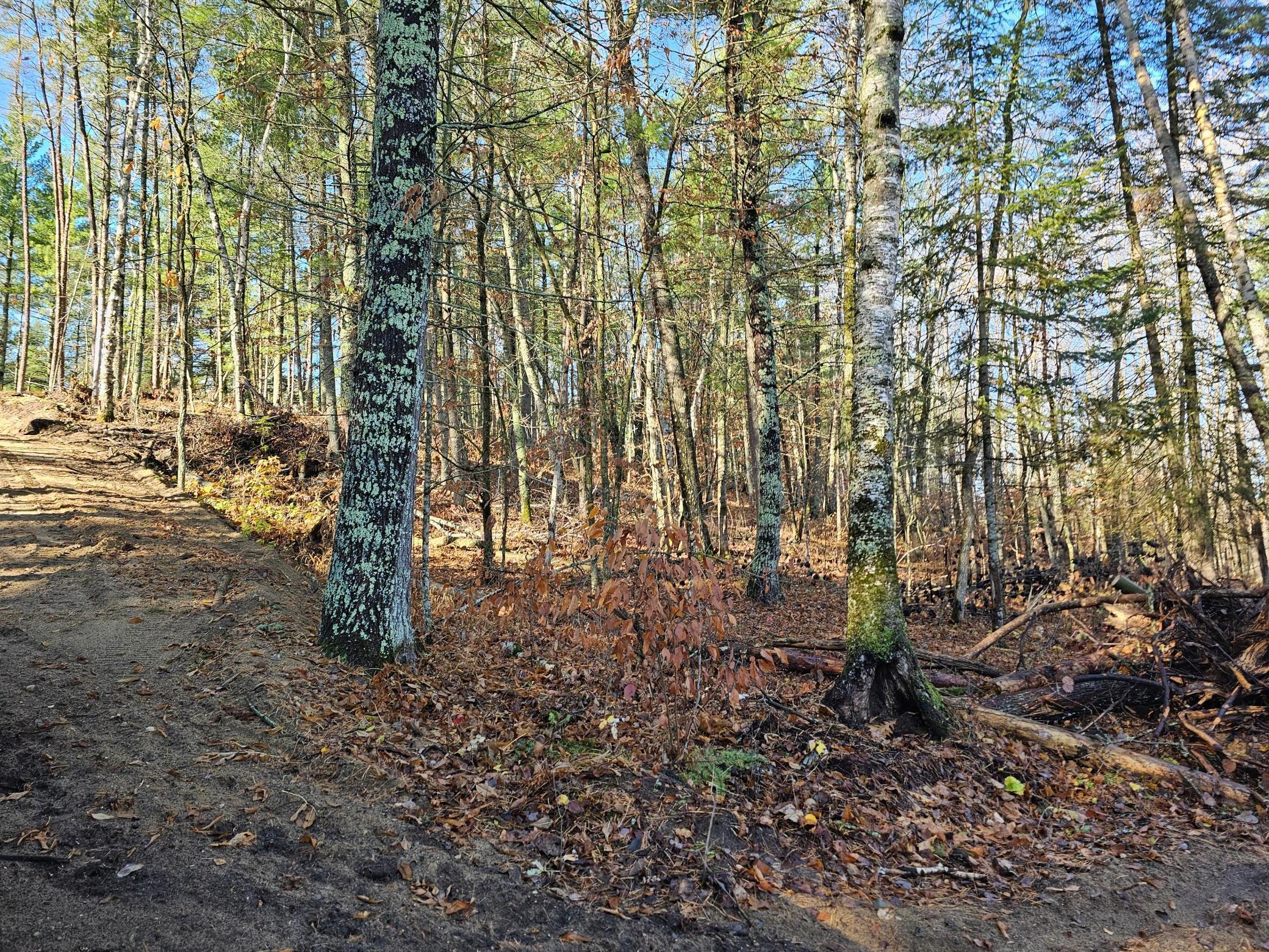 TBD Hazelnut Trail, Nevis, Minnesota image 26