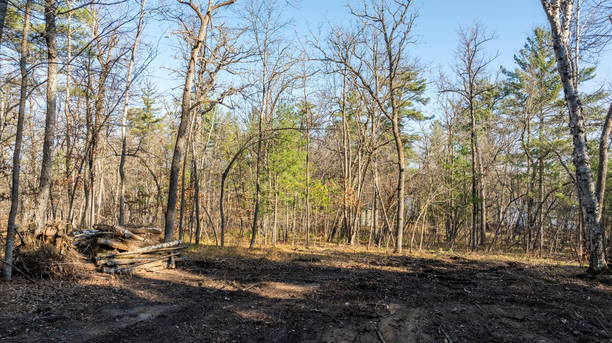 TBD Hazelnut Trail, Nevis, Minnesota image 31