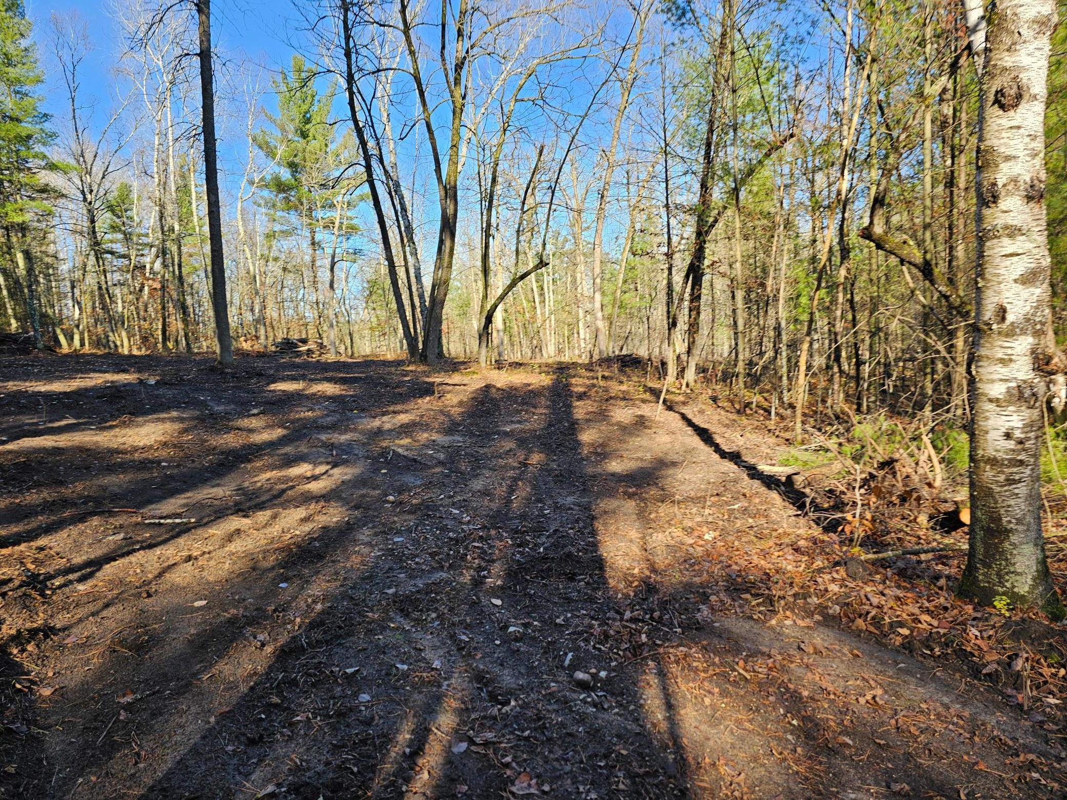 TBD Hazelnut Trail, Nevis, Minnesota image 27