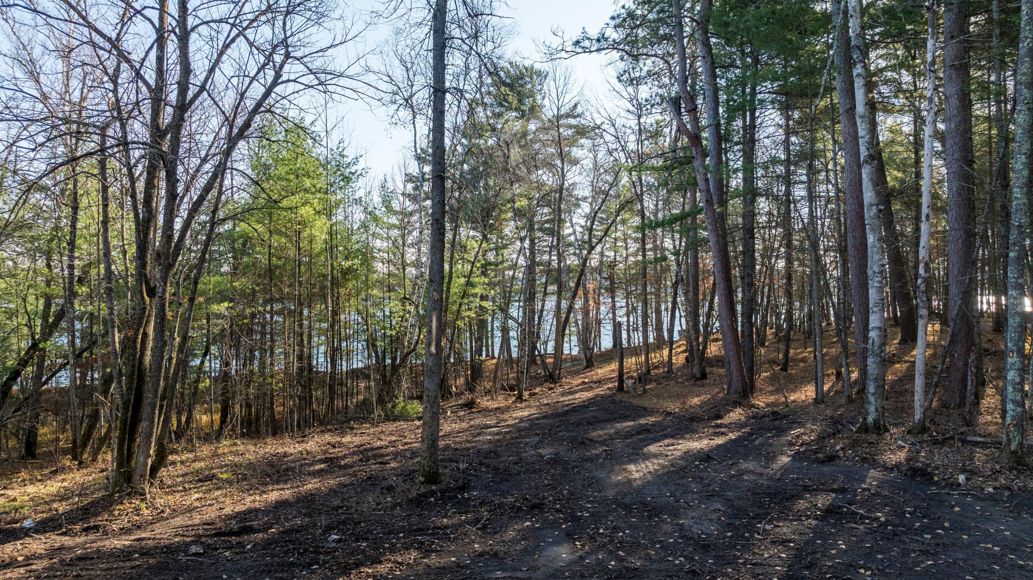 TBD Hazelnut Trail, Nevis, Minnesota image 3