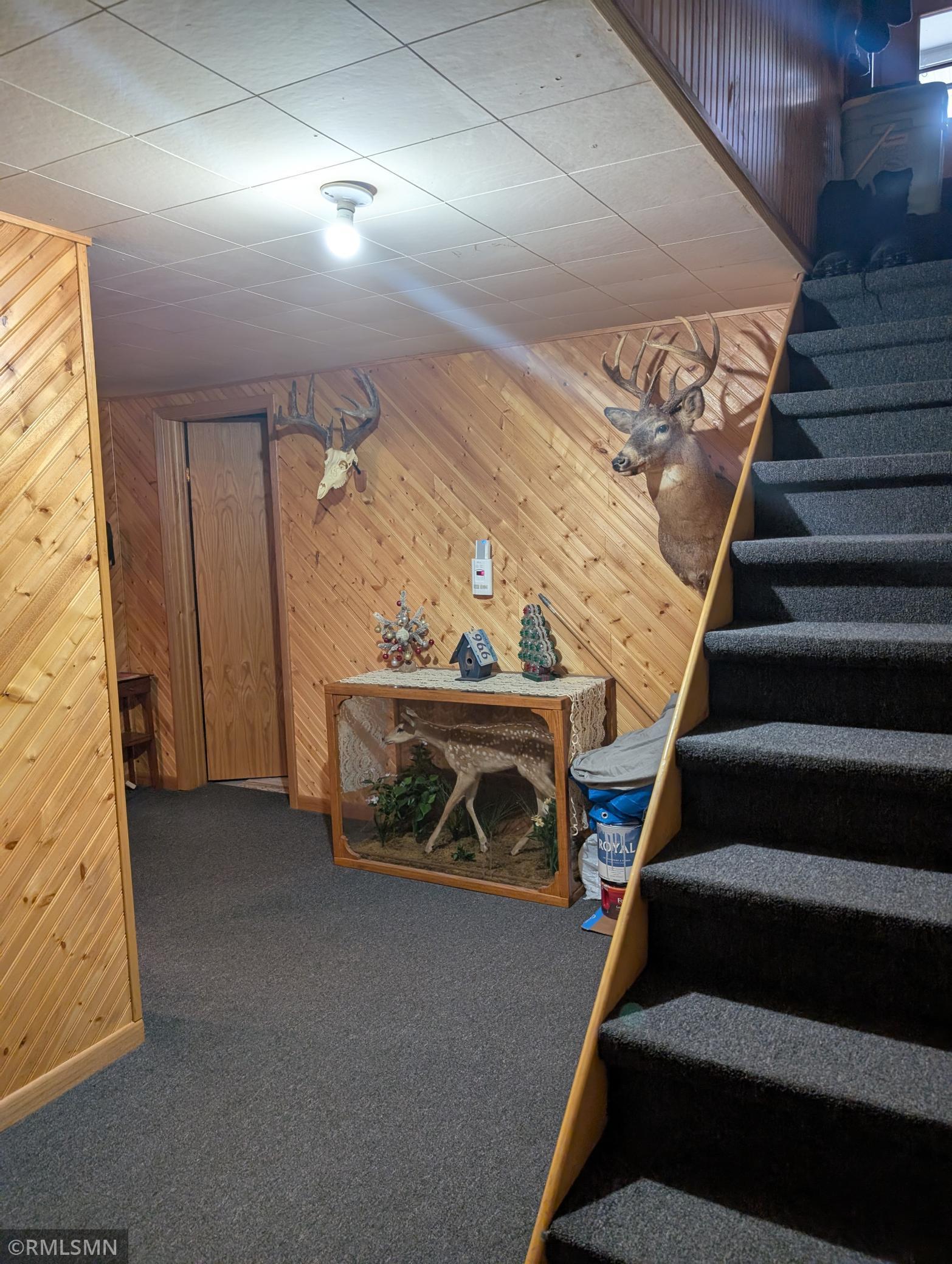 20 Todd Street, Long Prairie, Minnesota image 32