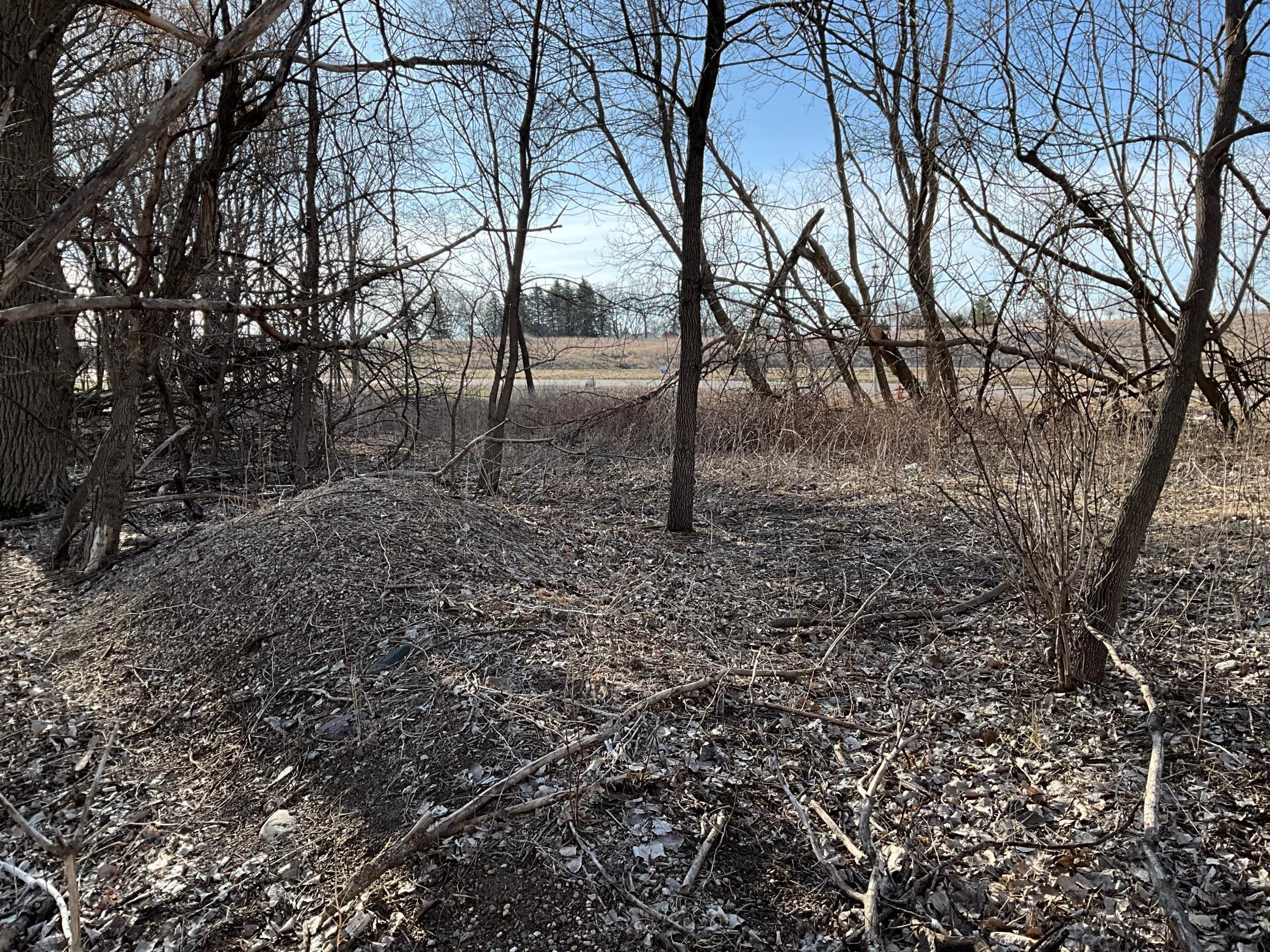 18 Cottonwood Lake Boulevard, Windom, Minnesota image 30