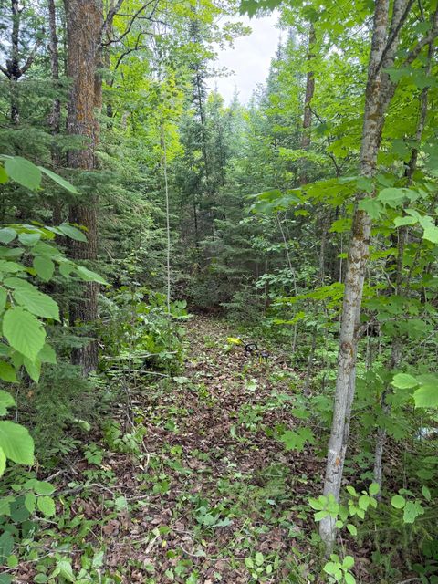 Vacant Land For Sale - LOT 2 S Gull Lake Rd Sw<br/> Beltrami County, Tenstrike, MN 56647