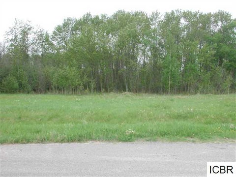 Vacant Land For Sale - LT 3 BLK 3 Aspen Dr<br/> Deer River, MN 56636
