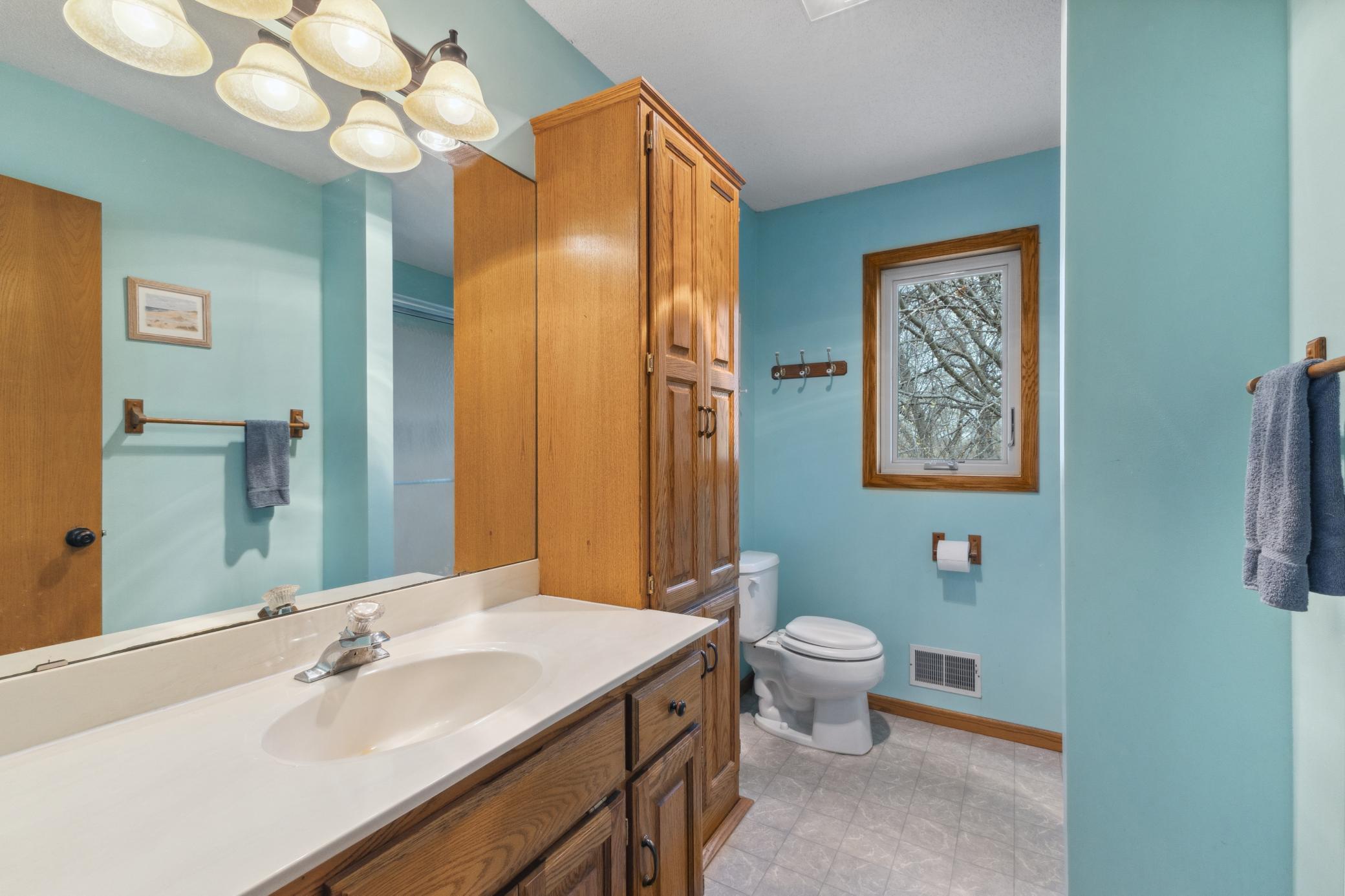 16846 Notre Dame Street, Columbus, Minnesota image 21