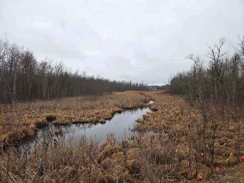Vacant Land For Sale - TBD County 11<br/> Cass County, Longville, MN 56655