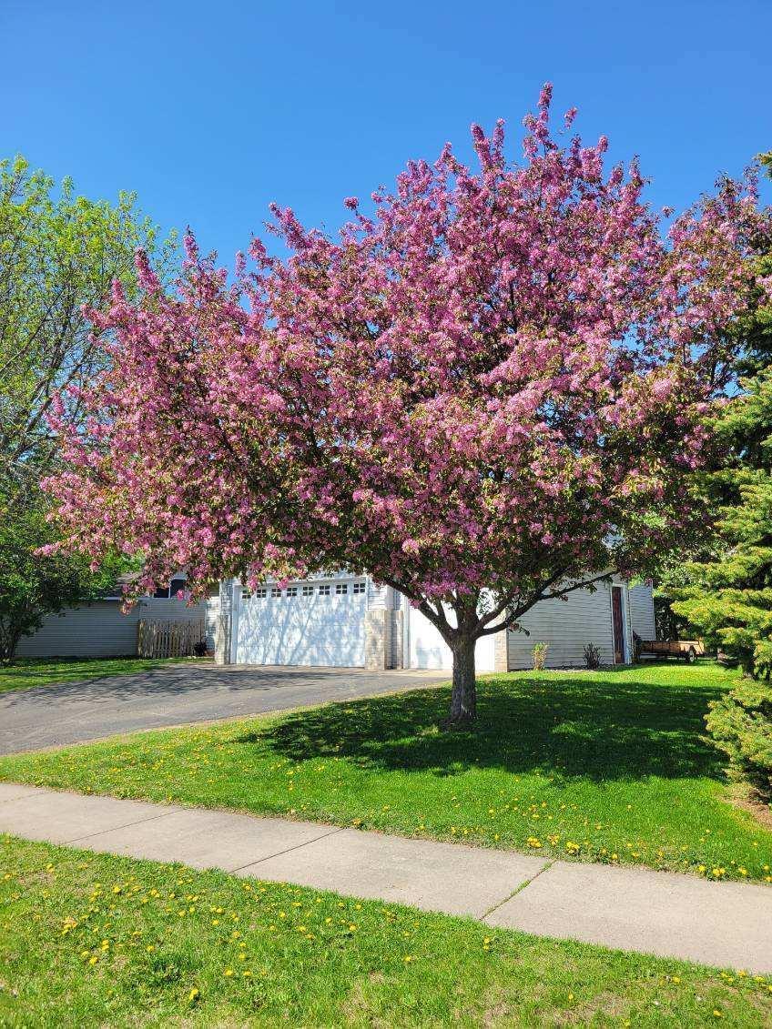 1113 Garden Brook Drive, Sauk Rapids, Minnesota image 30