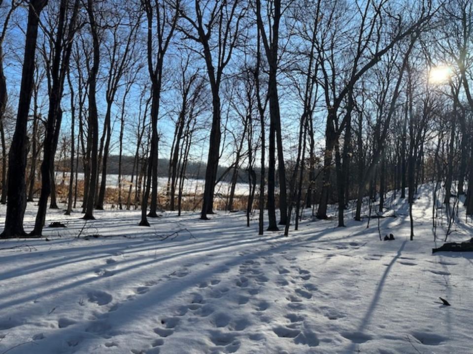 36045 Grue Church Rd Rd, Ashby, Minnesota image 14
