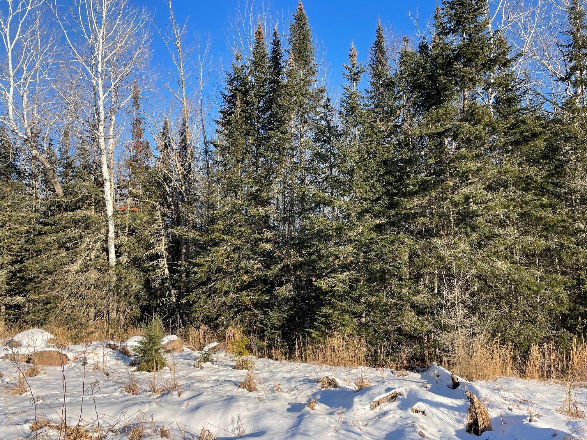 TBD County Rd 83, Pengilly, Minnesota image 3