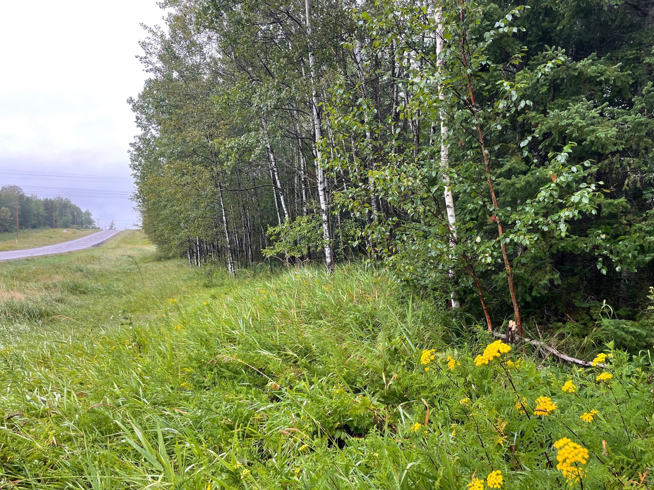 TBD County Rd 83, Pengilly, Minnesota image 12