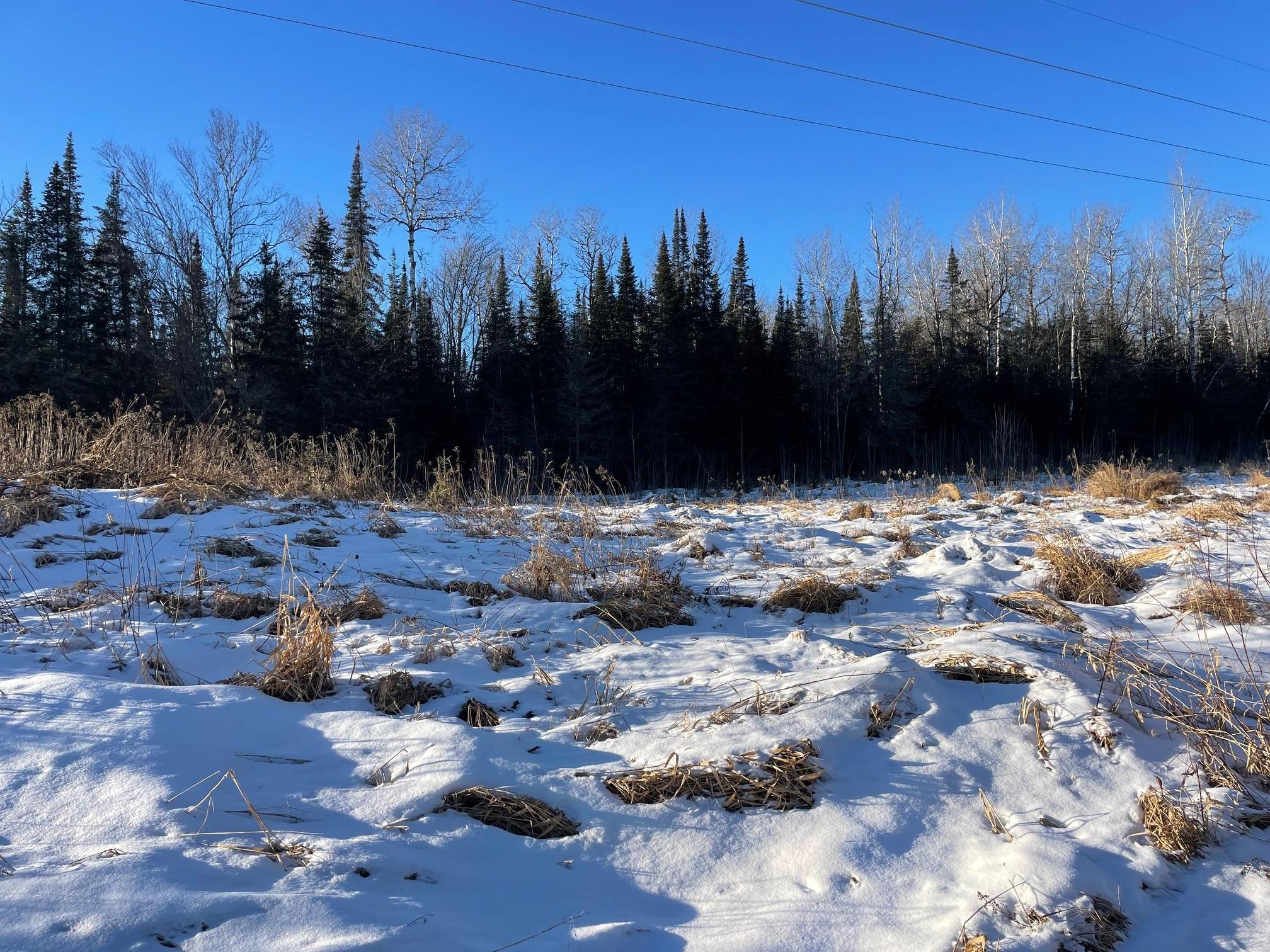 TBD County Rd 83, Pengilly, Minnesota image 4