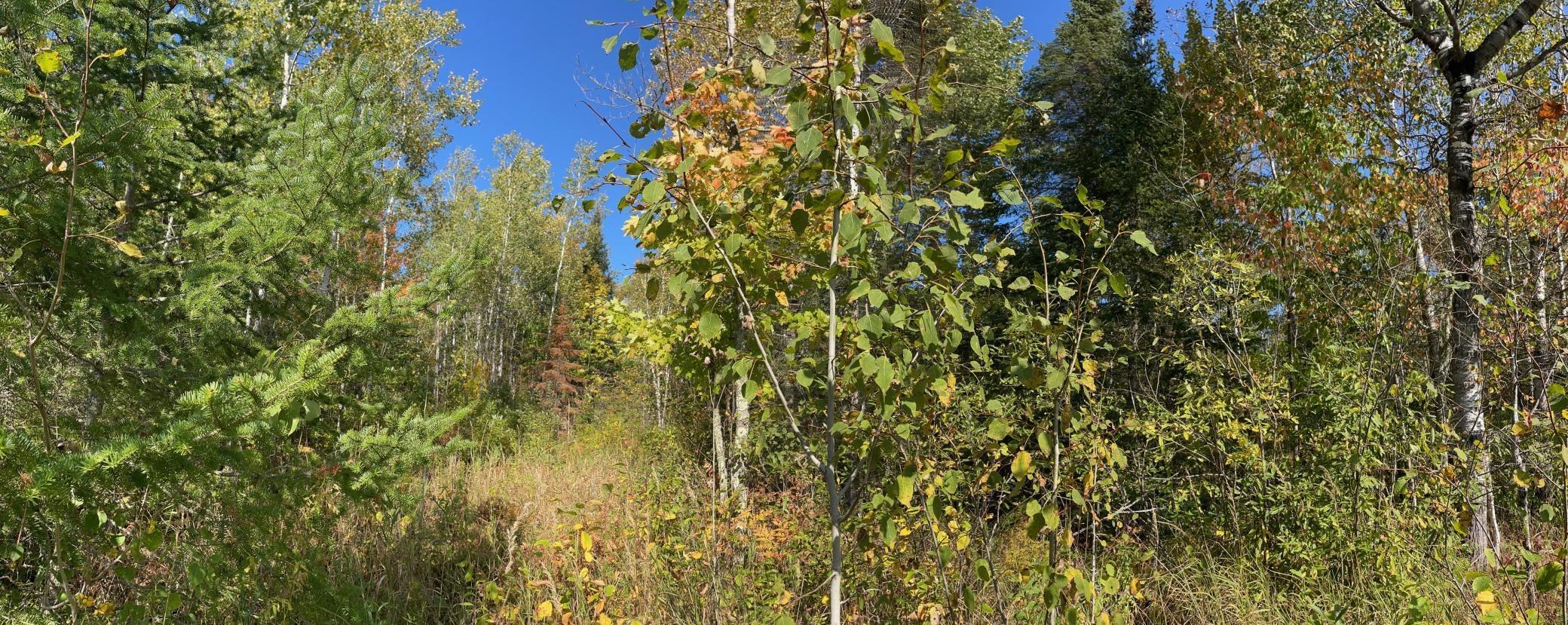 TBD County Rd 83, Pengilly, Minnesota image 8