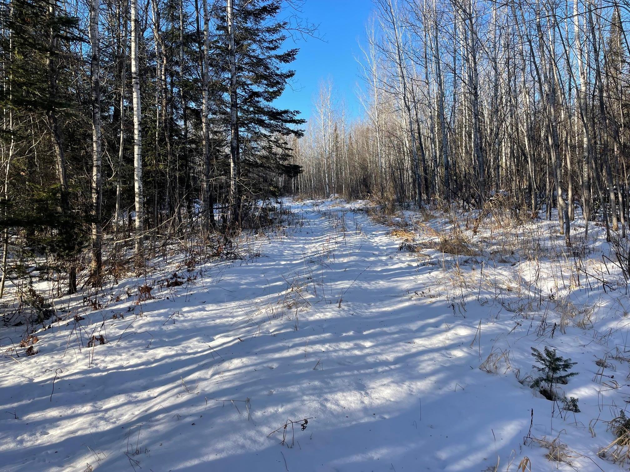 TBD County Rd 83, Pengilly, Minnesota image 2