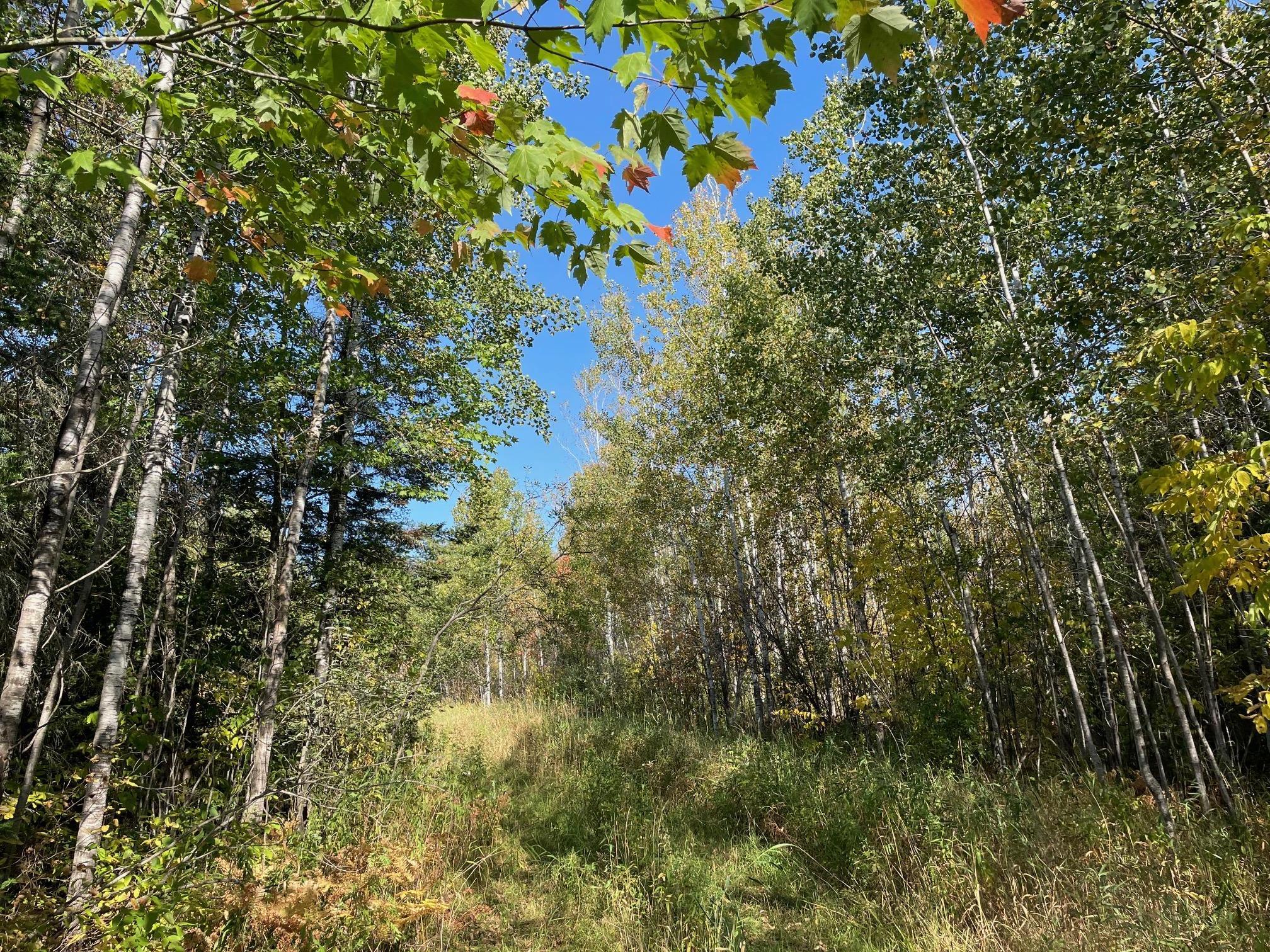 TBD County Rd 83, Pengilly, Minnesota image 11