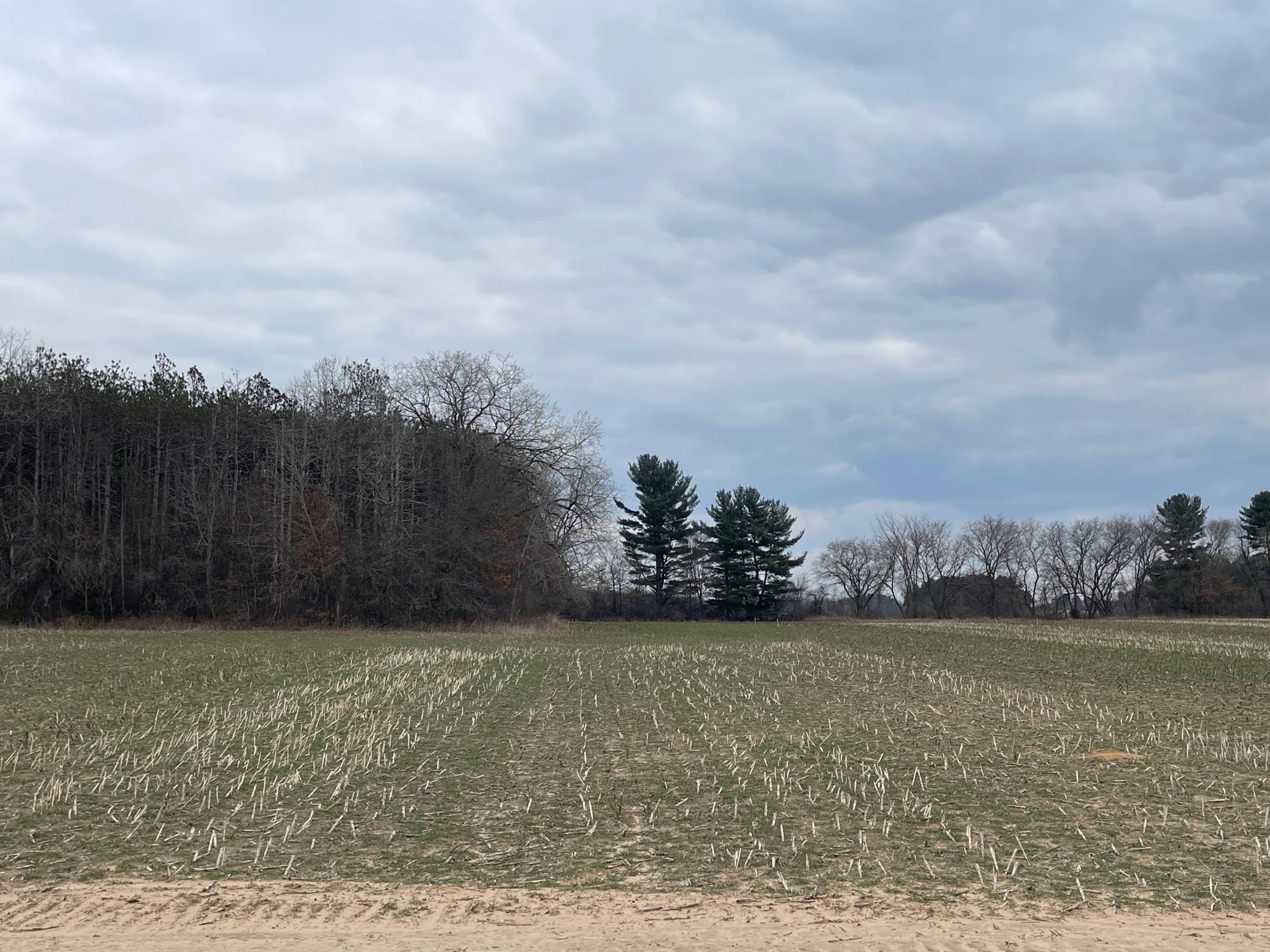 Lot 6 23rd Street, Elk Mound, Wisconsin image 1