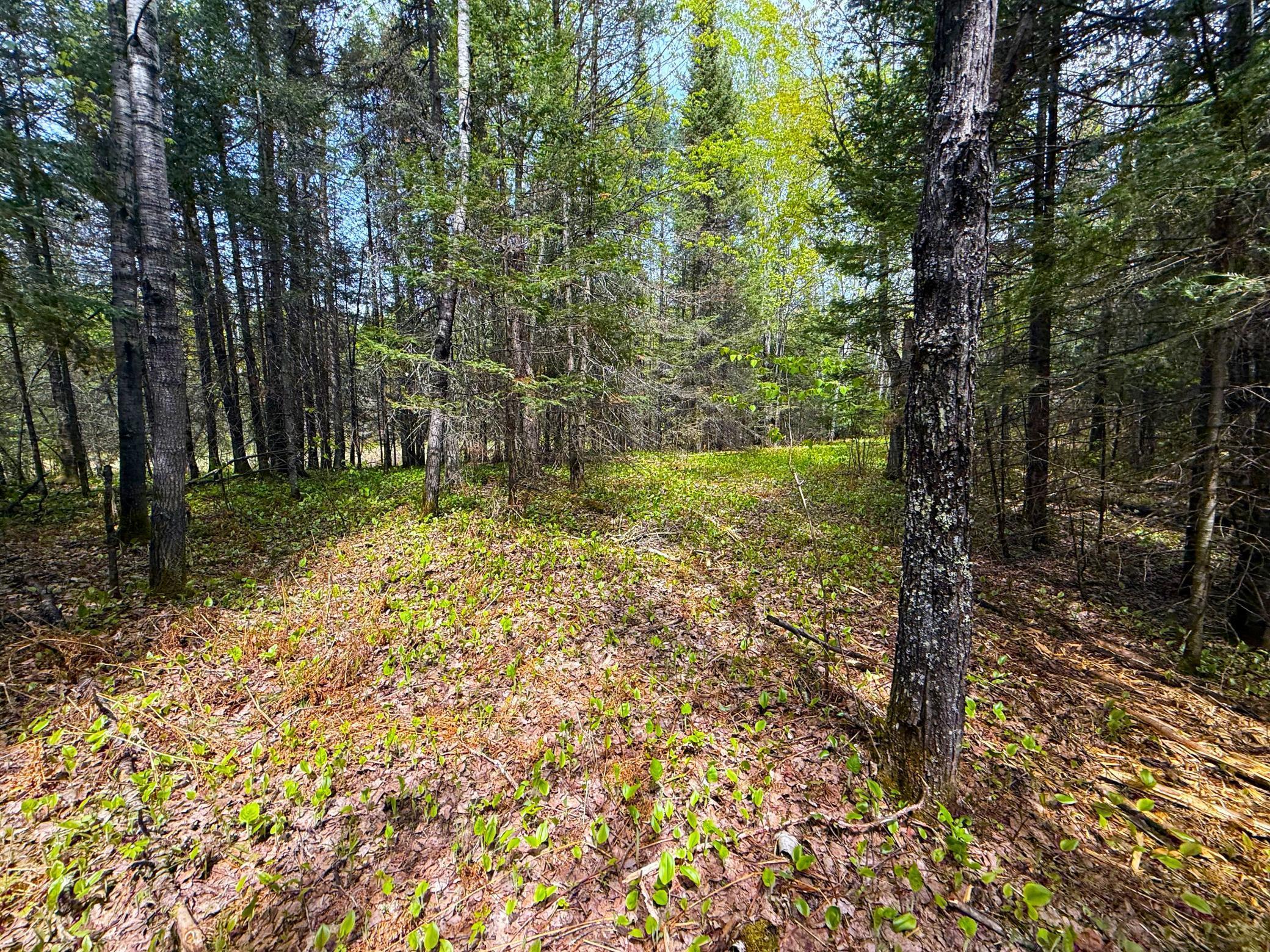 72XX E Central Lakes Road Lot F, Eveleth, Minnesota image 8