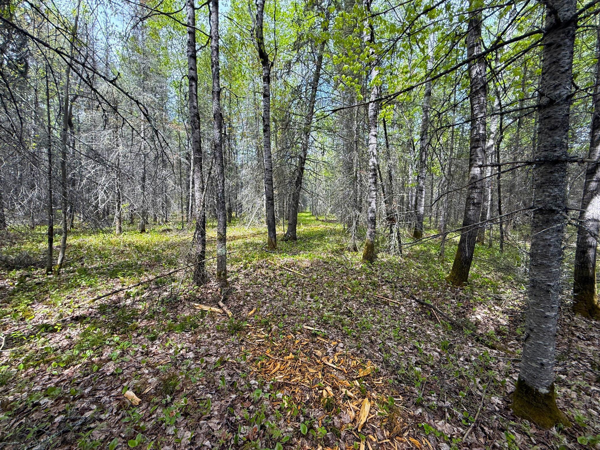 72XX E Central Lakes Road Lot F, Eveleth, Minnesota image 19