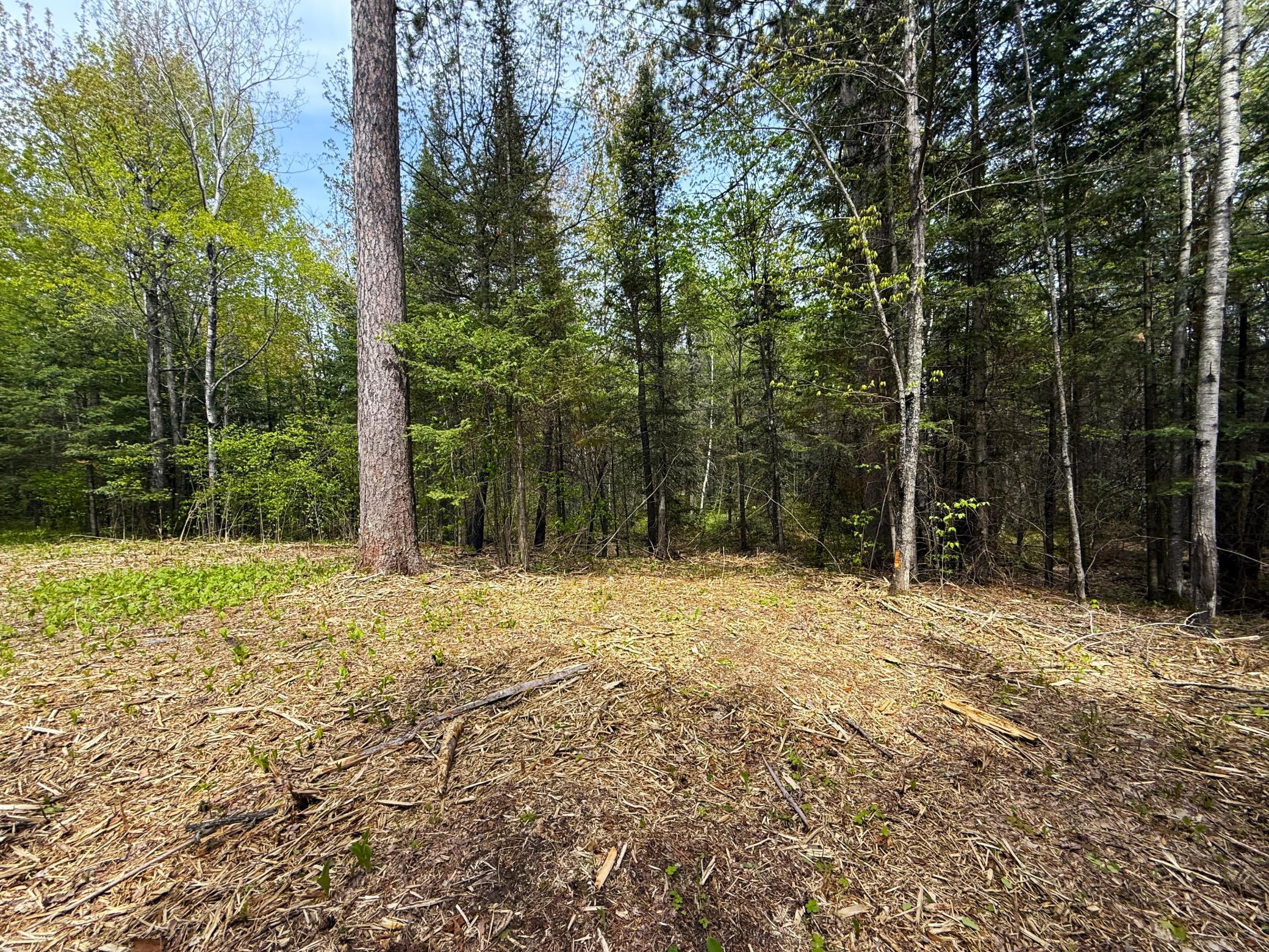 72XX E Central Lakes Road Lot F, Eveleth, Minnesota image 5